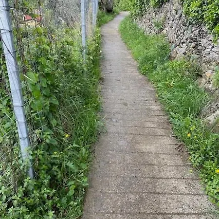 Oasi Di Pace A Recco Verzemma Apartment